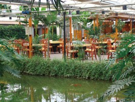 河南生态餐厅